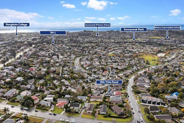 16a Trias Road Totara Vale_1