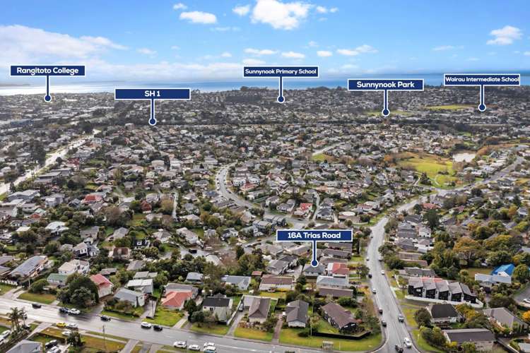 16a Trias Road Totara Vale_15