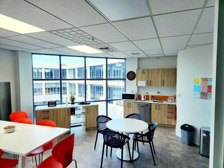 2 Enfield Street Mt Eden_1