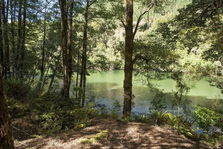 2314 Shenandoah Highway Murchison_1