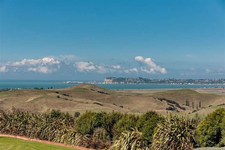 63 Avery Road Eskdale_28