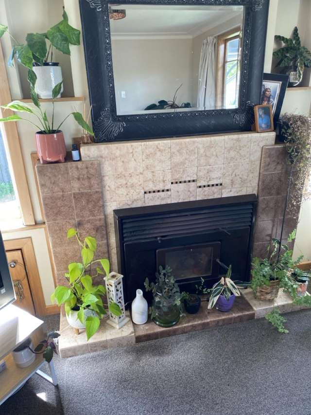 94 Chadwick Road Greerton_4