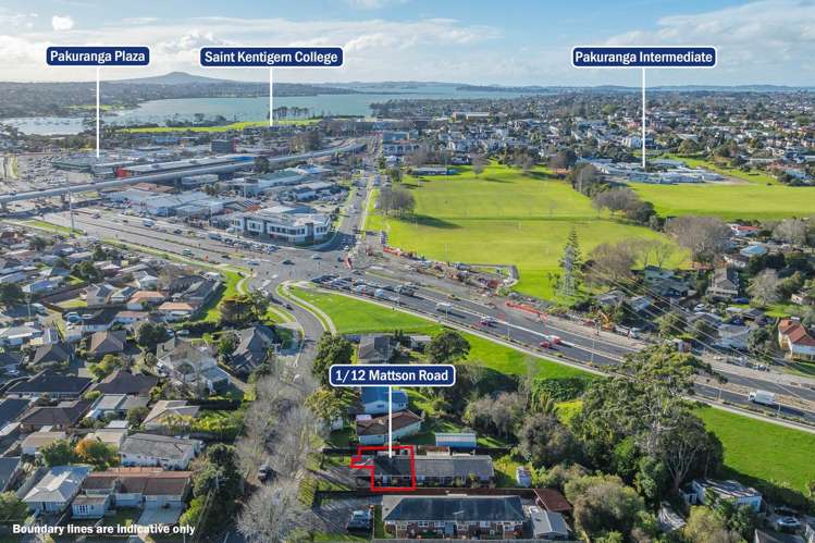 1/12 Mattson Road Pakuranga_9