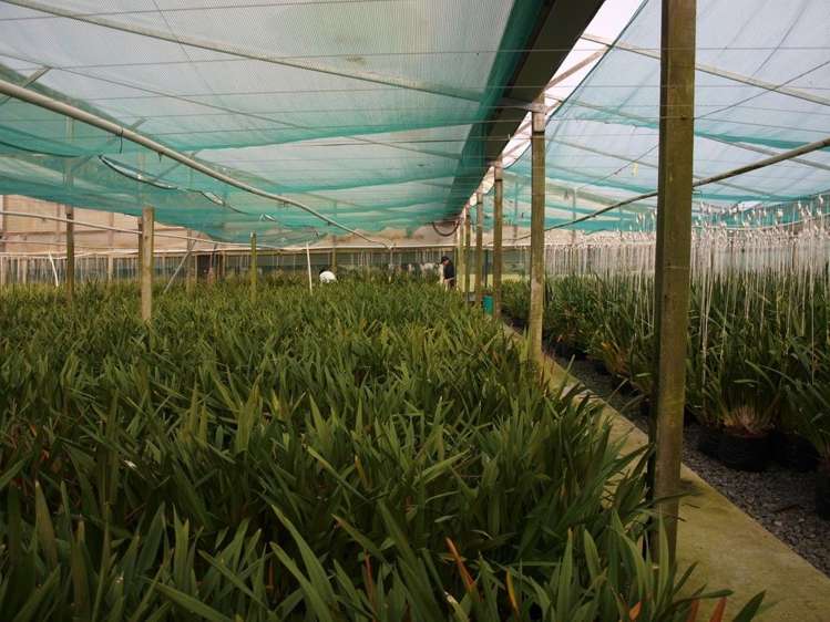 983 Maungakaramea Road Maungakaramea_15