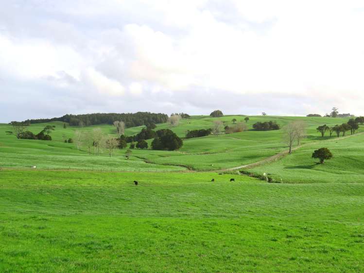 176 Prictor Road Wellsford_2