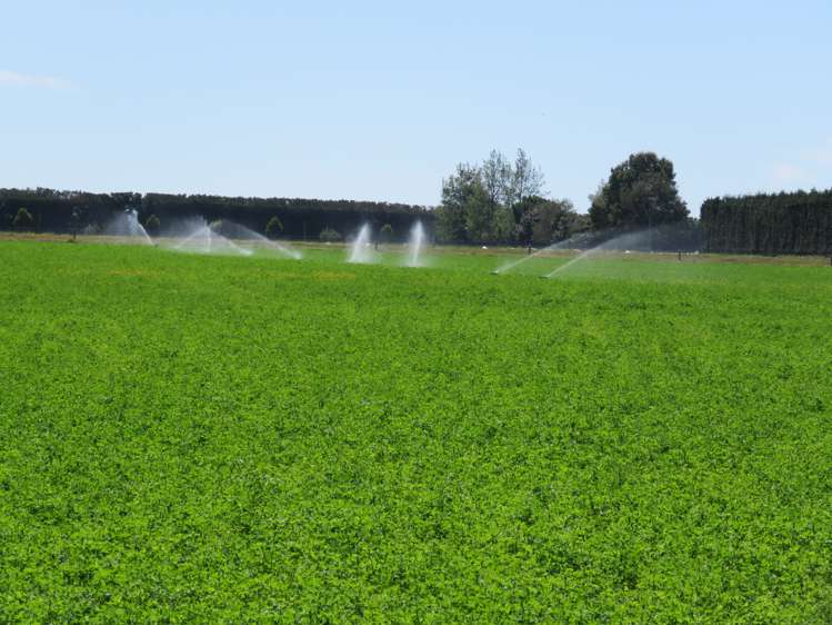 552 Methven Highway Winchmore_25