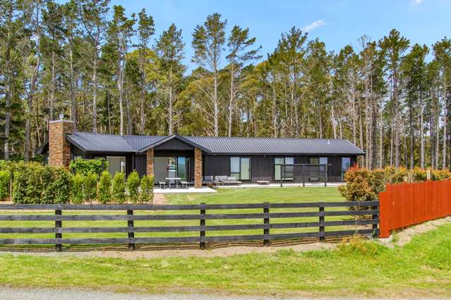 Style, Space and Your Own Forest