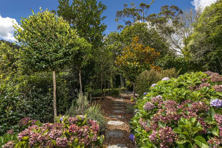 1074 Peak Road Helensville_20