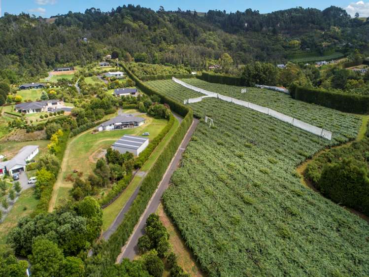 4a Ainsworth Road Wairoa_9