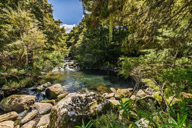 43z Blue Gum Lane Kerikeri_3