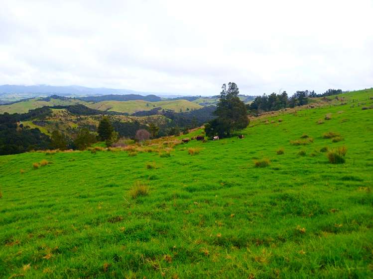 Lot 1 & 3 Fisher-Riley Road Kaitaia_5