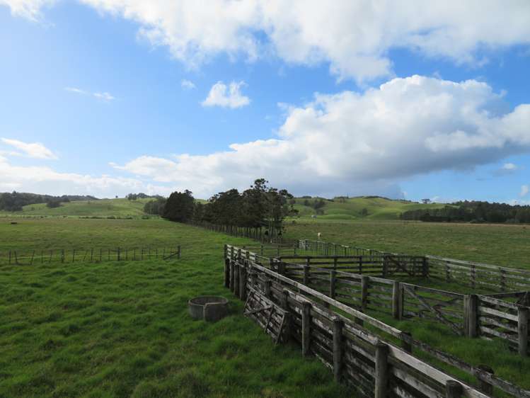 6901 State Highway 1 Kaitaia_19