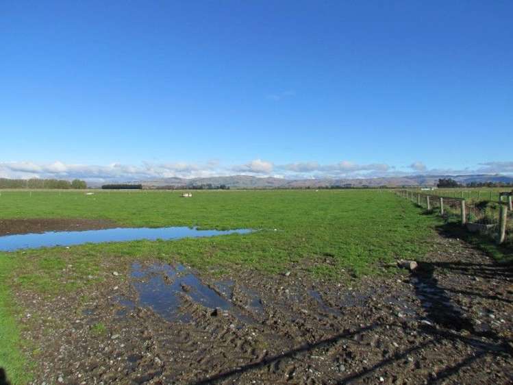 192 Riversdale Pyramid Road Riversdale_10