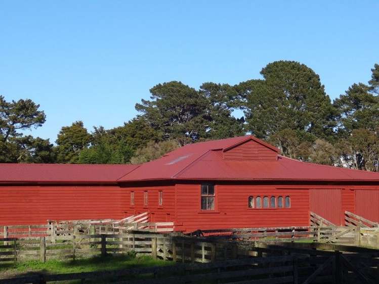 84579 State Highway 2 Eketahuna_12