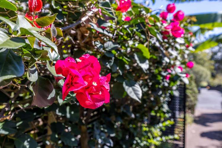 3/9 Don Croot Street Morningside_27