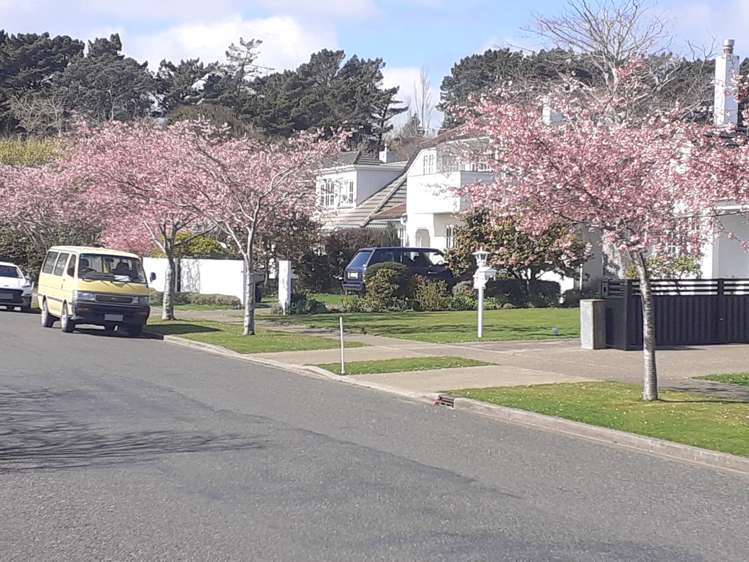 29 Wellesley Avenue Avenal_36