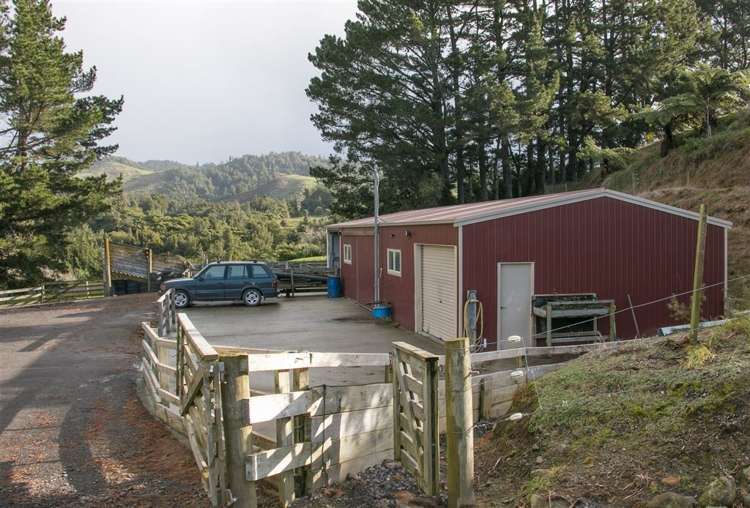 176 Kumikumi Road Kaimai_8