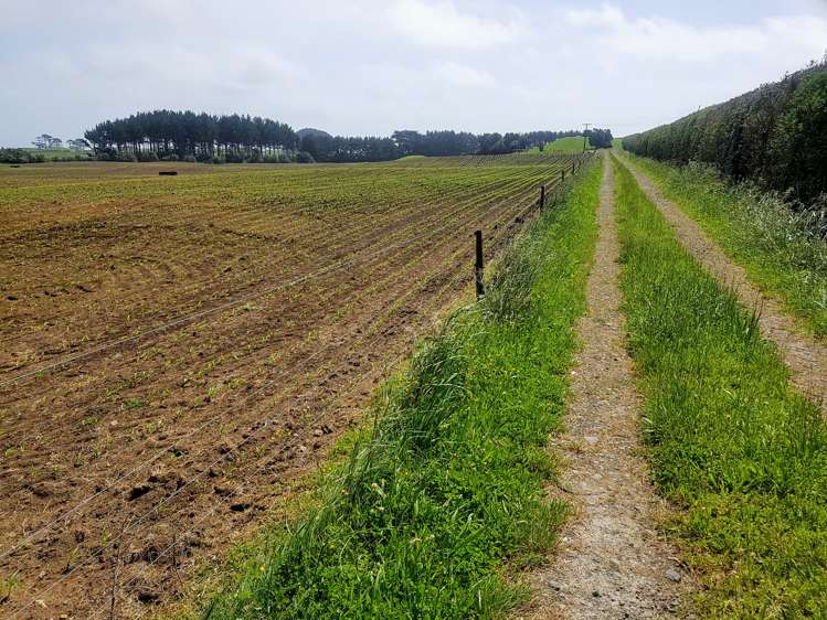 139 Bayly Road Warea_9