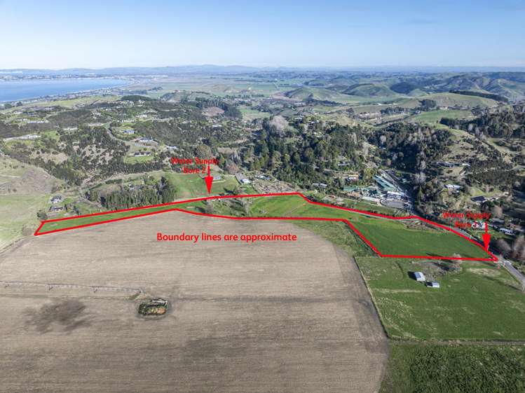 342 Hill Road Eskdale_9