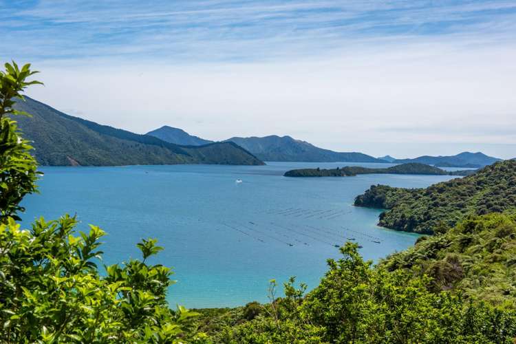 1024/1028 Elie Bay Road Pelorus Sound_37