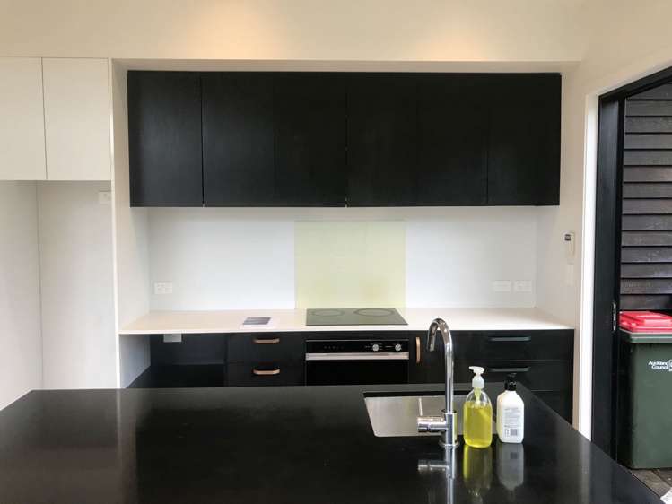 55a Powell Street Avondale_5