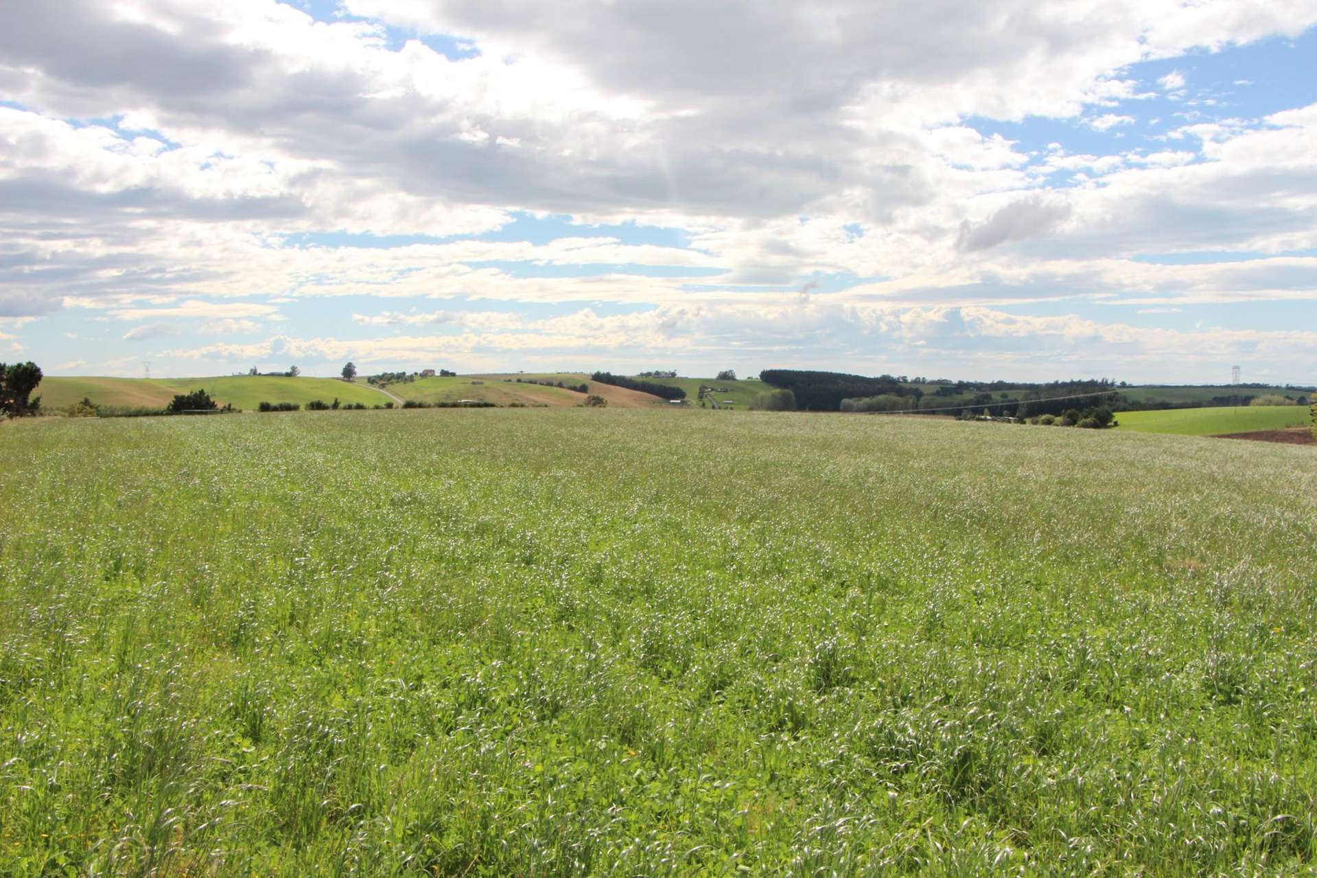 Connells Road Levels Valley_0