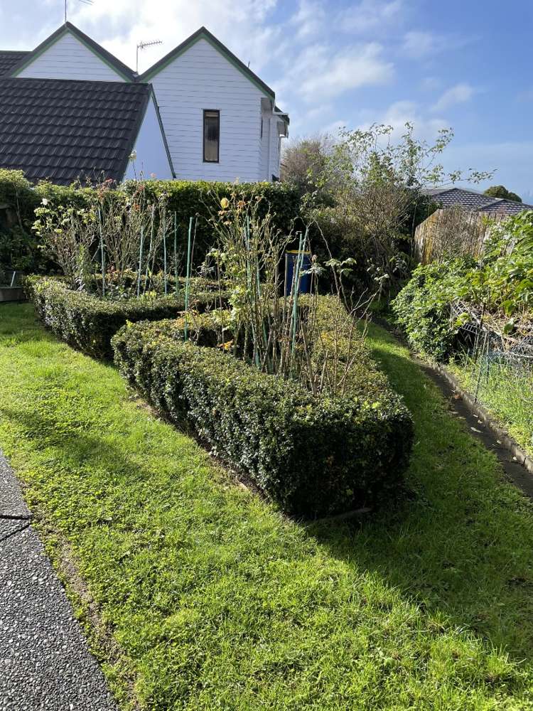 2/24 Cherub Place West Harbour_7