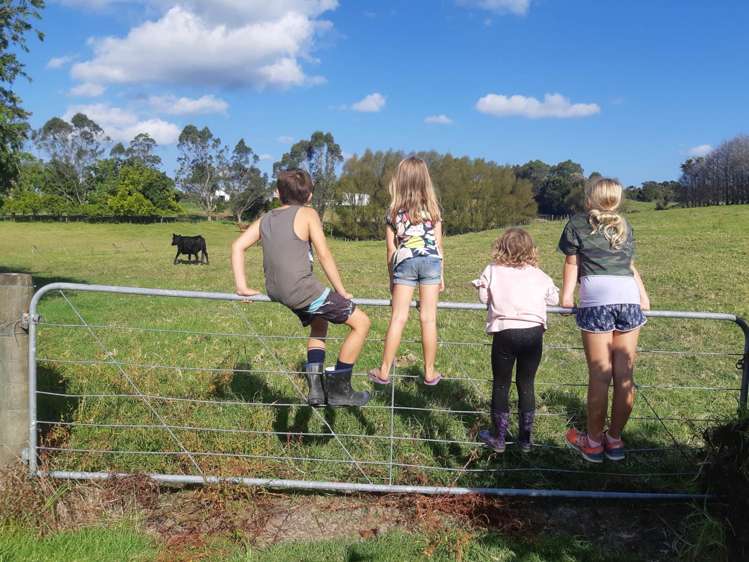 198a Devich Road Mangawhai_9