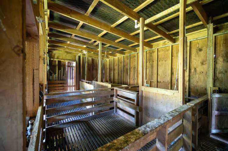 237 Win Valley Road Dovedale_28