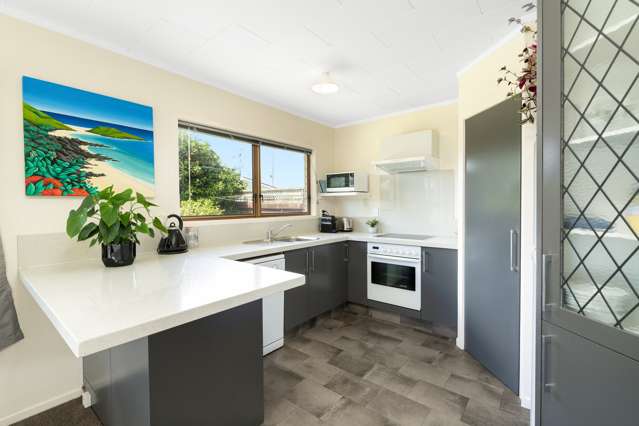 84b Fraser Street Tauranga South_4