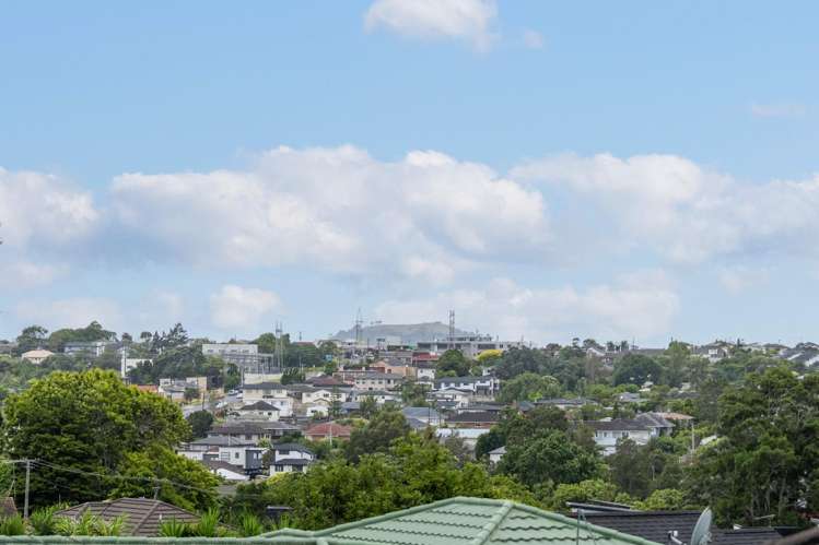 703A Hillsborough Road Mount Roskill_22