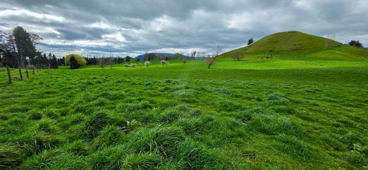 83 Brett Road Rerewhakaaitu_5
