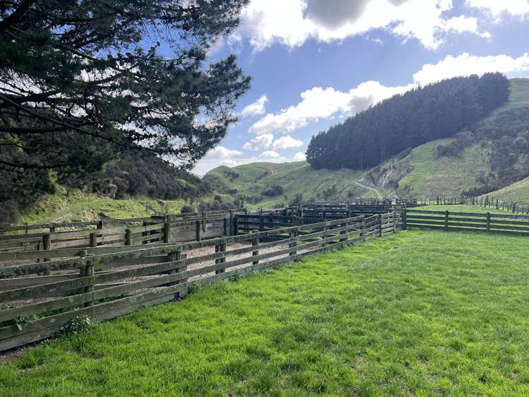 467 Waitahora Valley Road Dannevirke_21