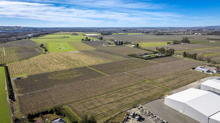Kiwi Crunch Orchard Portfolio Twyford_28