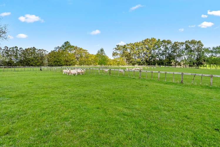 744 Waitakere Road and 42 Dysart Lane Kumeu_23