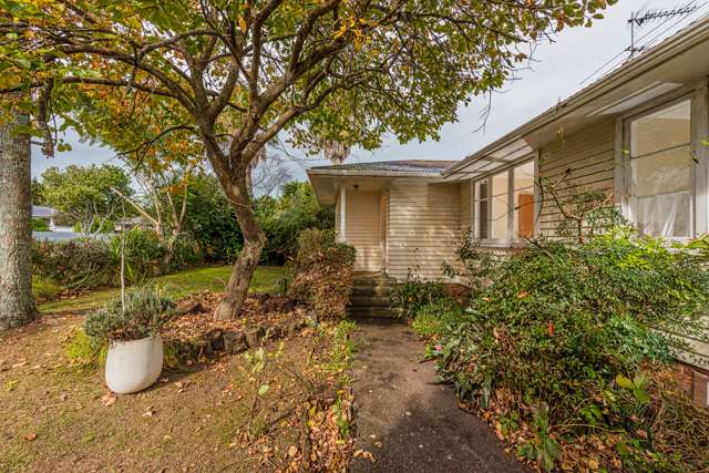 16 Maple Street Avondale_1