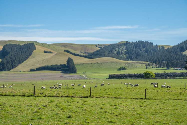 1492 Happy Valley Road Motunau_35