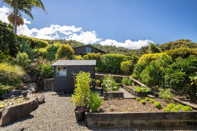 80 Tarapatiki Drive_5