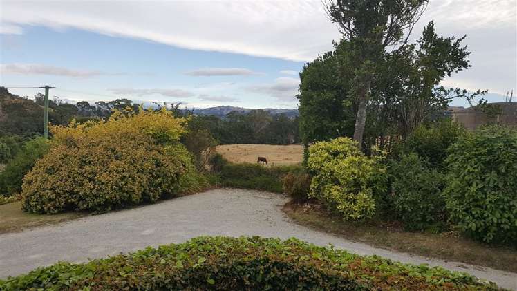 27 Wallis Road Kaiti_1