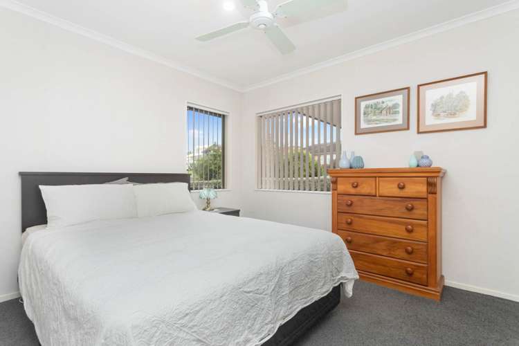 23 Highfields Terrace Henderson_10