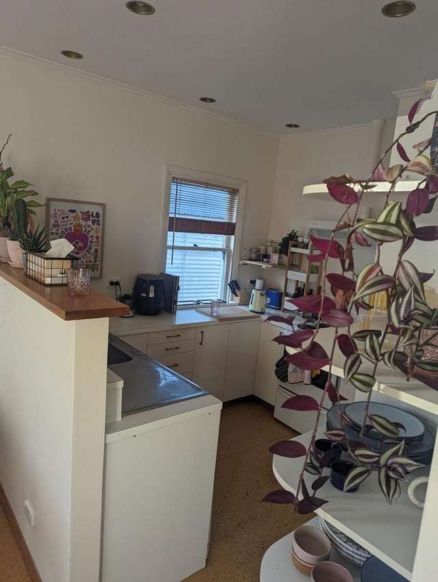52 Majoribanks Street Mount Victoria_3