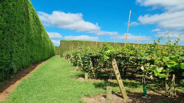 27 Orangewood Road Kerikeri_2
