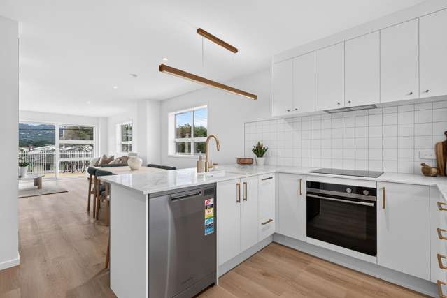 2/46 Cuba Street Petone_4