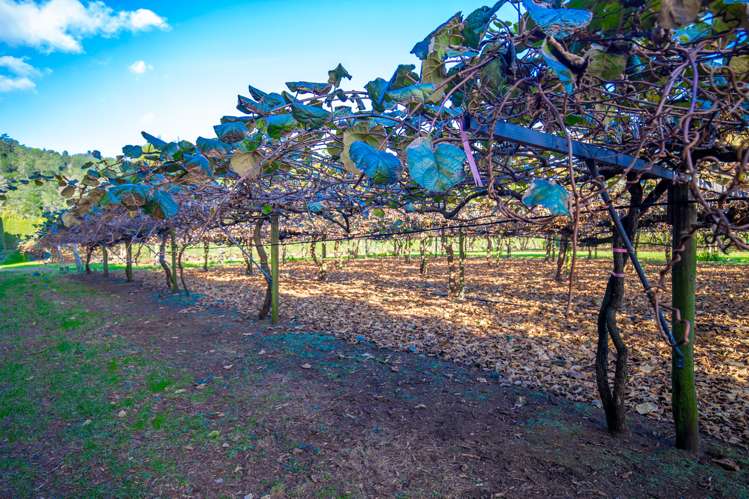 32 Gooseberry Grove Pauanui_8