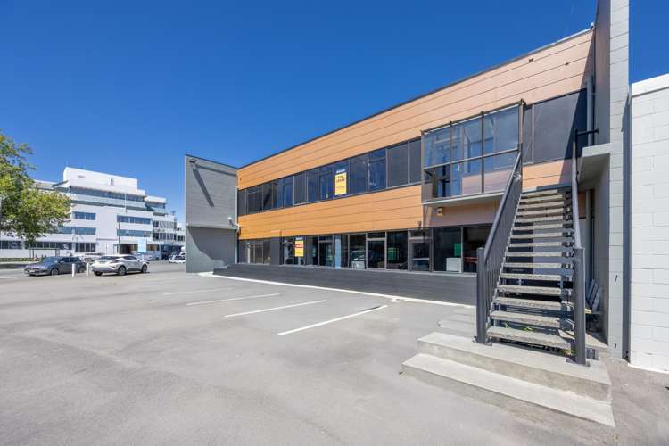 67 Raffles Street Napier Central_3