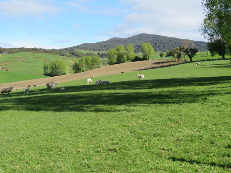 182 Sim Road Otautau_8