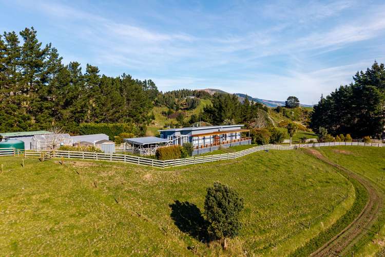 220 Kahuterawa Road Linton_23