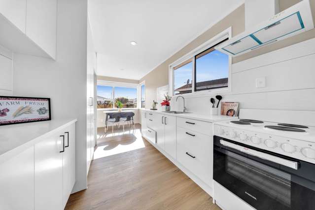 238 Browns Road Clendon Park_1