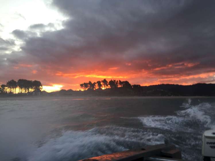 190 Pacific Ocean, Slipper Island (Whakahua) Thames_18