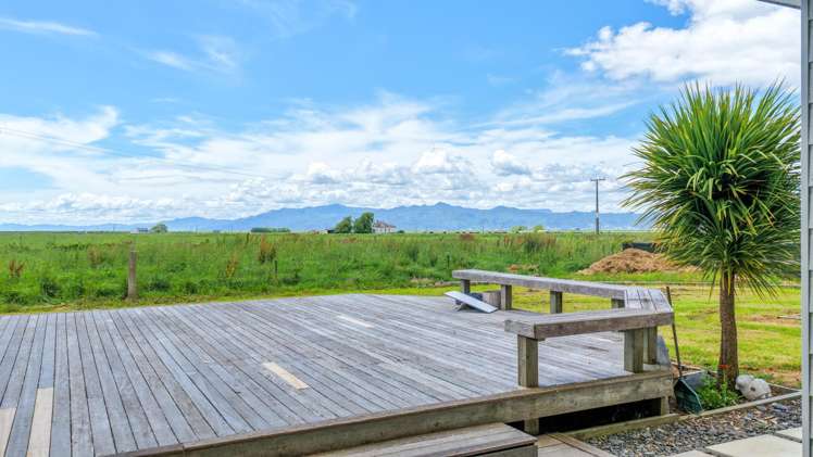 54 Arawa Street Pipiroa_17